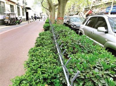 郑州部分路段绿化带装上栅栏 网友：想起了老家菜地里的竹竿篱笆KK体育(图3)