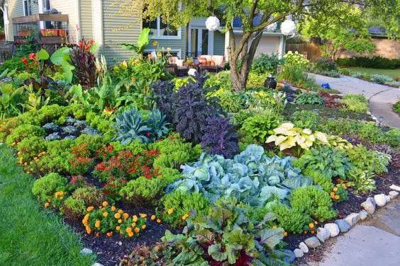 玩转庭院：家里有院子的话可以建一个实用又好看KK体育的“菜园子”(图1)