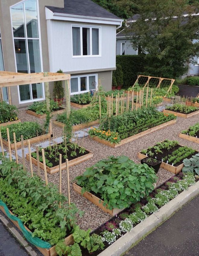 玩转庭院：家里有院子的话可以建一个实用又好看KK体育的“菜园子”(图3)