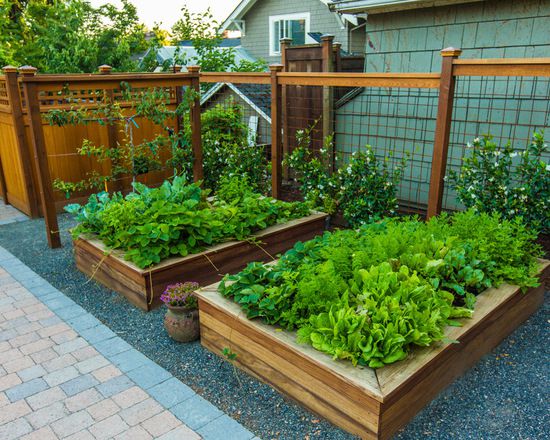 玩转庭院：家里有院子的话可以建一个实用又好看KK体育的“菜园子”(图5)