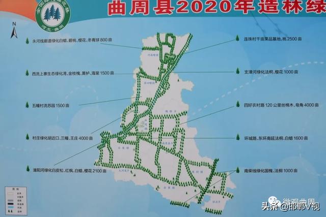 KK体育曲周县2020年造林绿化规划图现身！10个乡镇各有千秋！(图1)