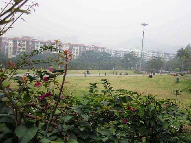深圳西部最大的市KK体育政公园 一个休闲健身的好地方!(图2)