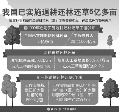 KK体育全球增绿的中国贡献——中国人工林建设的成就与启示(图4)