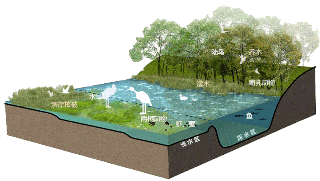 精选案例 城市湿地公园—亲近自然而不破坏自然的城市公园设计KK体育(图23)