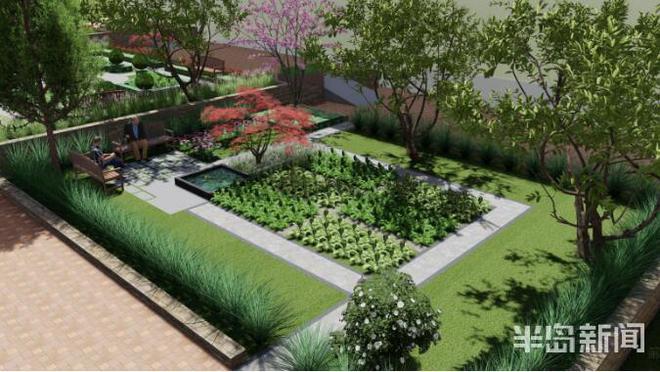 TG体育小区种菜可以有 李沧近千平米小区花坛要变“城市菜园”(图5)
