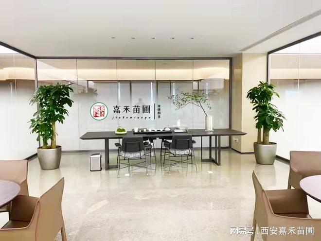 TG体育西安企业办公室花卉绿植租赁月租套餐(图1)